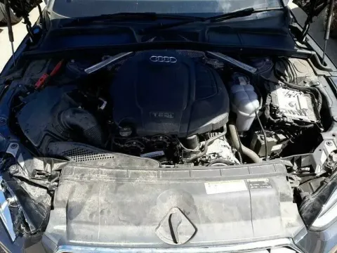 Article VW5EX