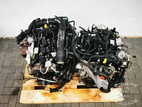 Article 6KG6L