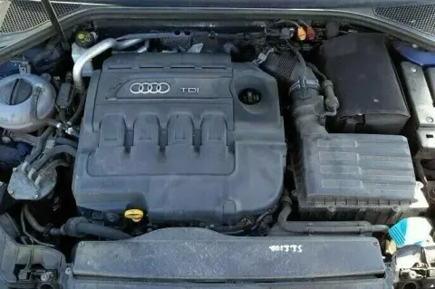 Article P54M6
