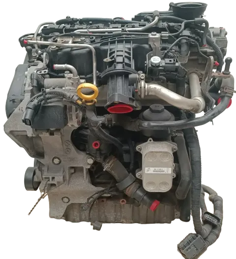 Article R66XW