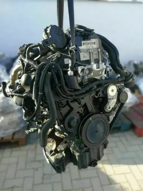 Article 5ZD66