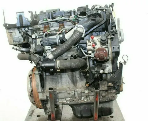 Article P5B3G