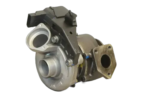 Article 3G4Z6