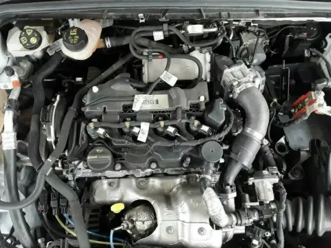 Article 5ZR59