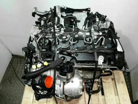 Article P55V6