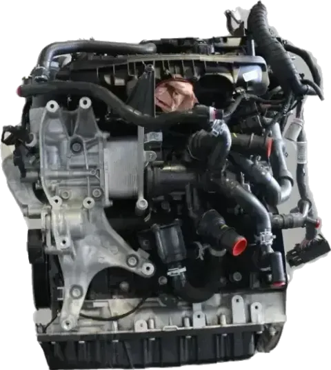 Article Y9GX4