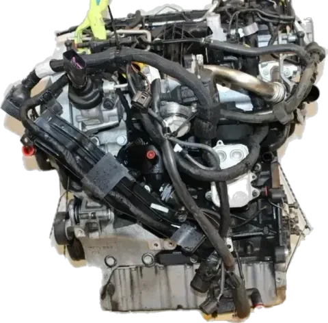 Article VPM95