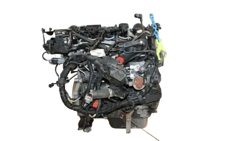 Article 4R95P