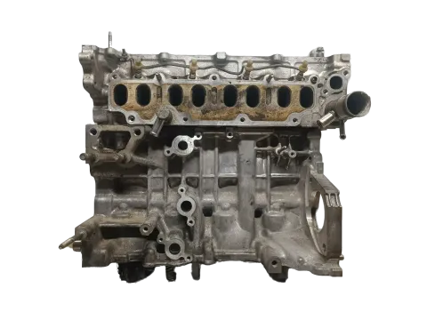 Article P53OW