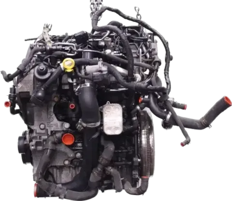 Article AN435