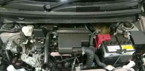 Article 5ZLX5