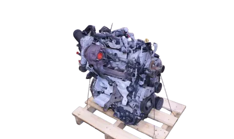 Article 5OZP6