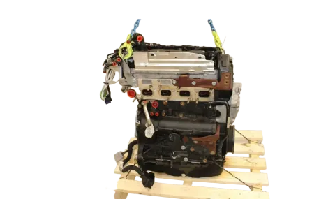 Article PZ5Y6