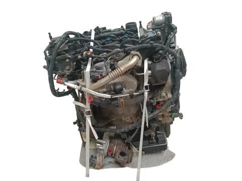 Article 6RR65