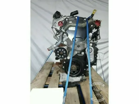 Article VWGOW