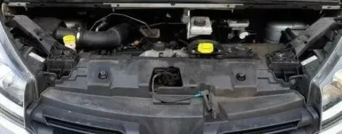 Article VW246