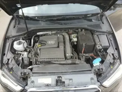 Article O62EV