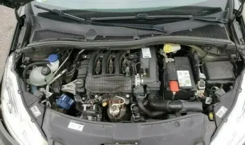 Article VWGLR