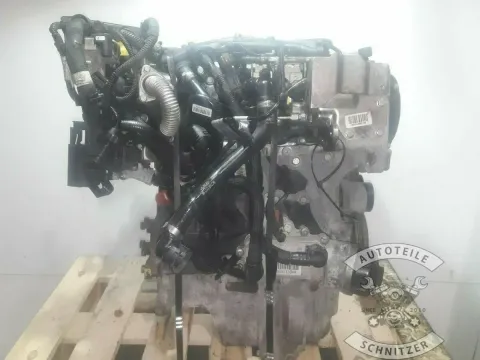 Article 49DMR
