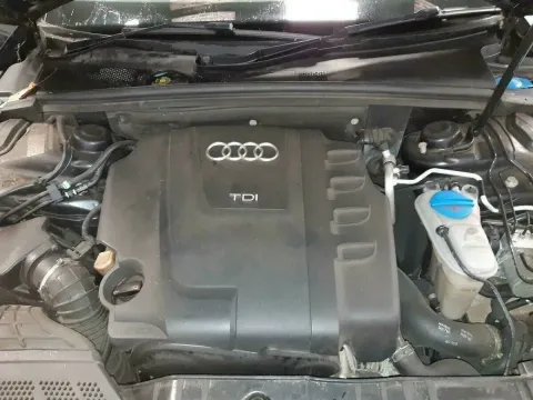 Article VW5B5