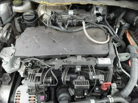 Article YX6E6