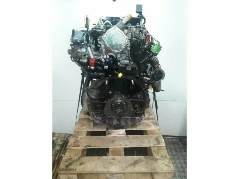 Article ZN6WK