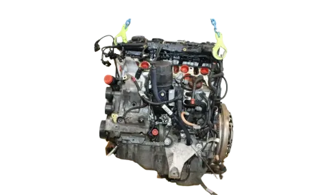 Article 9RGRA