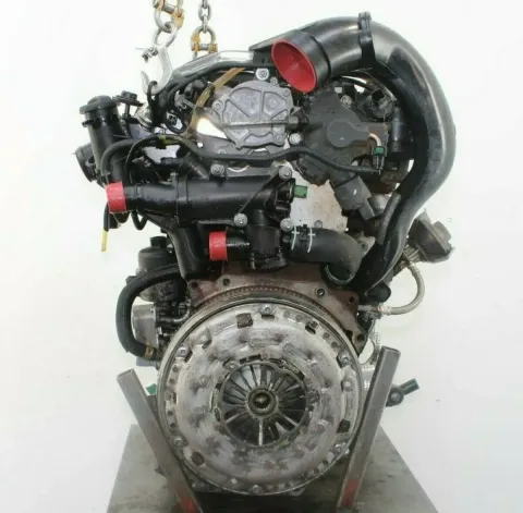Article ZN64Y