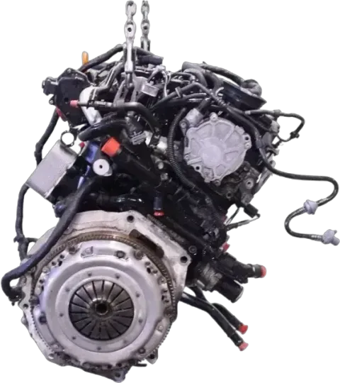 Article 5WGYK