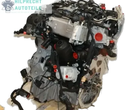 Article 5O9G6