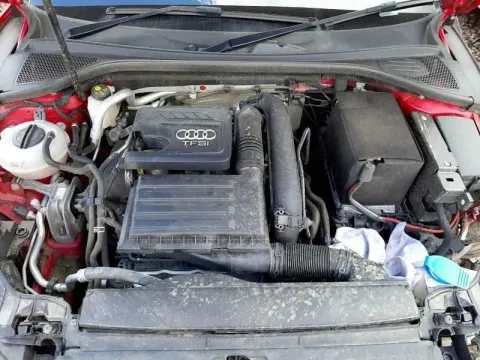 Article P55LG