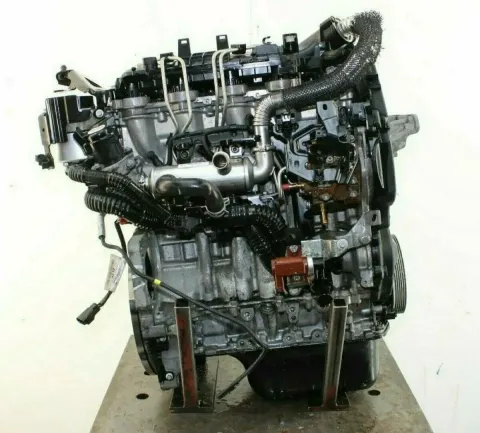 Article Z329Y