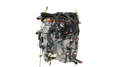 Article PZ5ZG