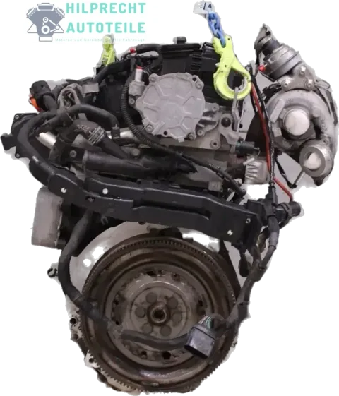 Article VPM25
