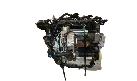 Article 6RK44