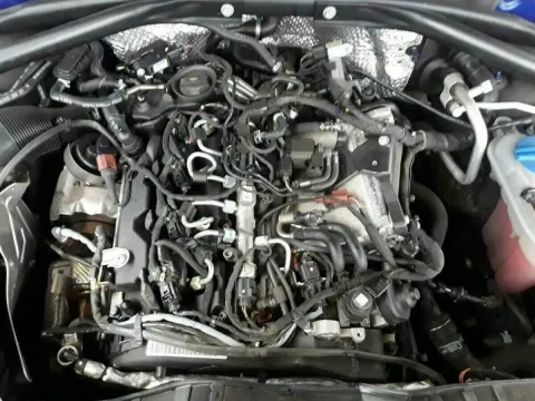 Article VW5Z6