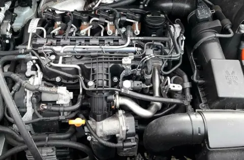 Article P56VV