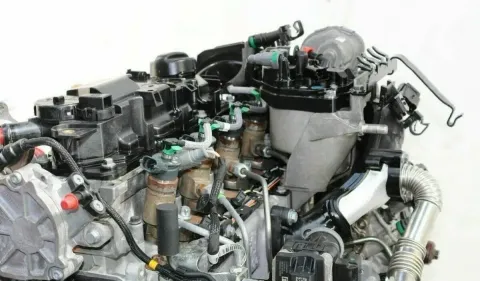 Article 5Z52M