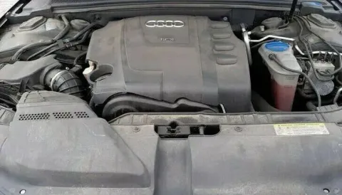 Article VW95V