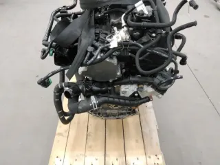 Motor Benzin - Ford Focus (2022) 2522403 23.870km - Bild 2