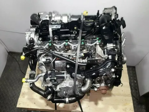 Article P5KG6