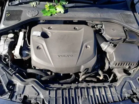 Article RQOW3