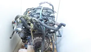 Motor Benzin - Citroen C8 (2003) 0135 8W - Bild 2