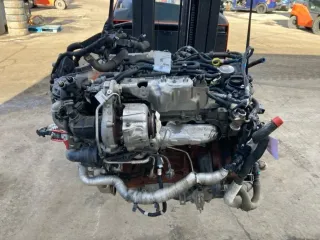 Motor Diesel - Ford Focus (2022) YLDA 53.510km - Bild 1