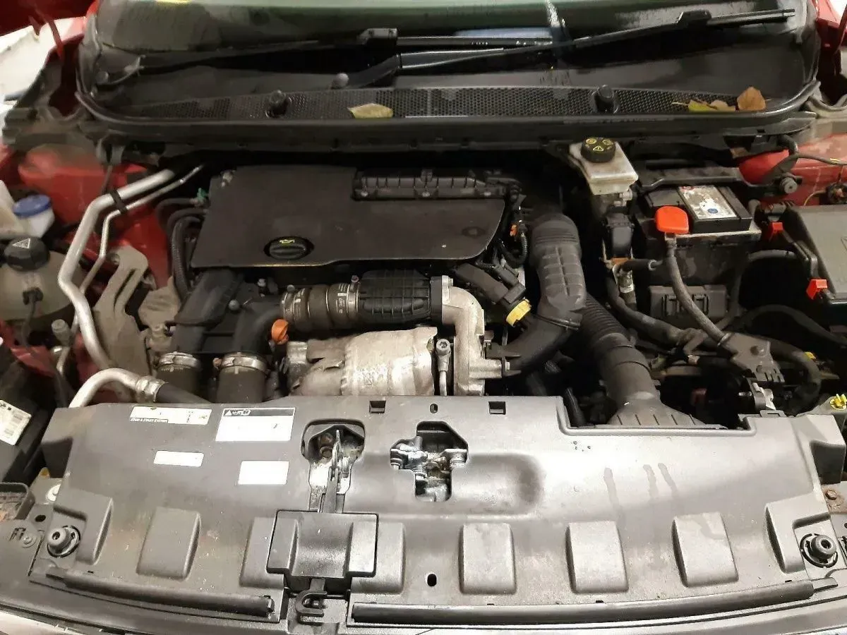 Motor Citroen Berlingo 1.6 HDi BHY 55 TKM 73 KW 99 PS komplett in - Bild 1