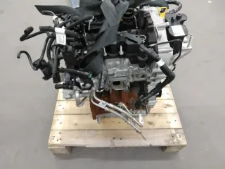 Motor Benzin - Ford Focus (2022) 2522403 23.870km - Bild 1