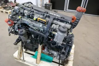 Motor Diesel - MAN (2018) D0836 LFL79 - Bild 2