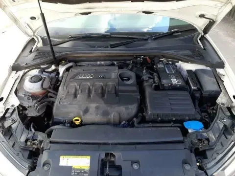 Article 5ZODM