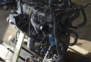 Motor Diesel - Chrysler Voyager (2005) 5170769AA - Bild 2