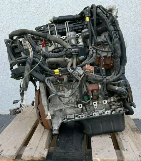 Article BW65L